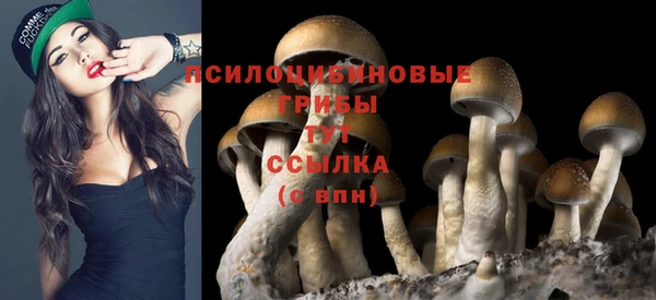 мефедрон Вяземский