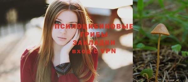 прущая мука Вязники