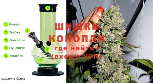 крисы Вязьма