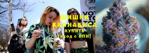 крисы Вязьма