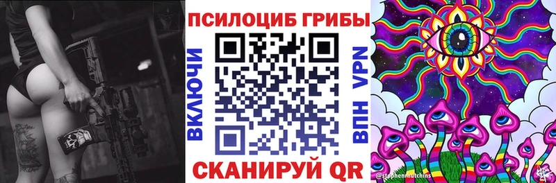 где купить   Железногорск-Илимский  Псилоцибиновые грибы Psilocybe 